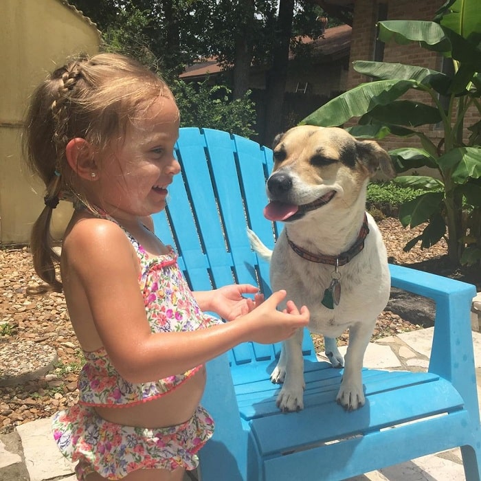 A baby girl playing with Jack a bee