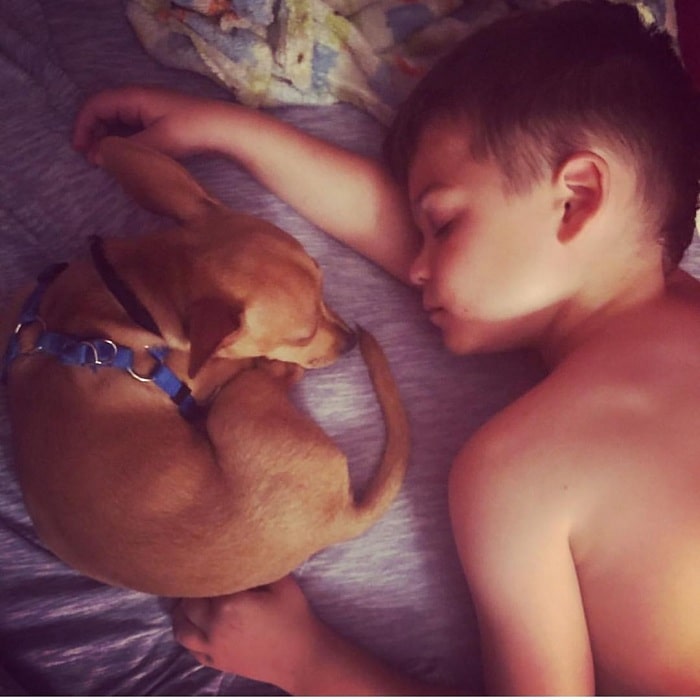 A boy taking a nap with Chipin