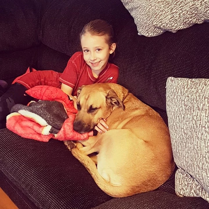 A girl sitting with German Pit on the couch