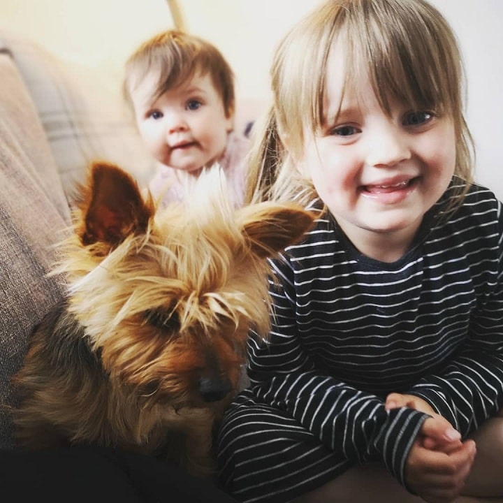 Babies with Yorkshire Terrier