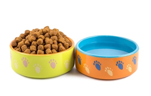 Dry Kibbles for American Leopard Hound
