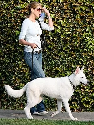 Jennifer Aniston with her White German Shepherd