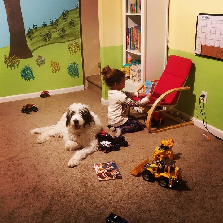 Newfypoo and a baby girl playing toys