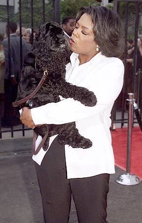 Oprah Winfrey with her Cocker Spaniel