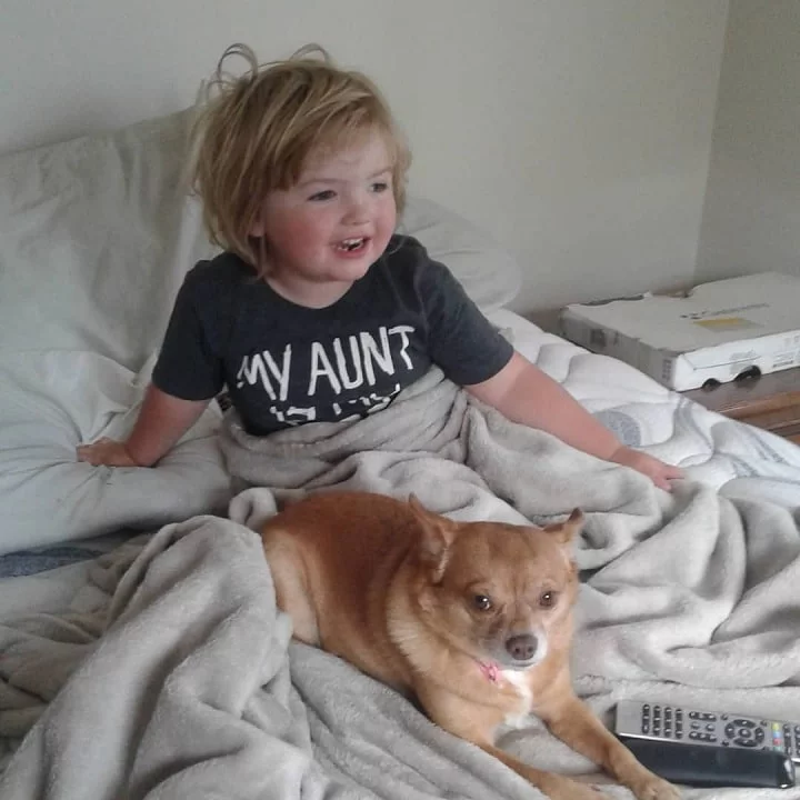 Pomchi sitting on the bed with a baby