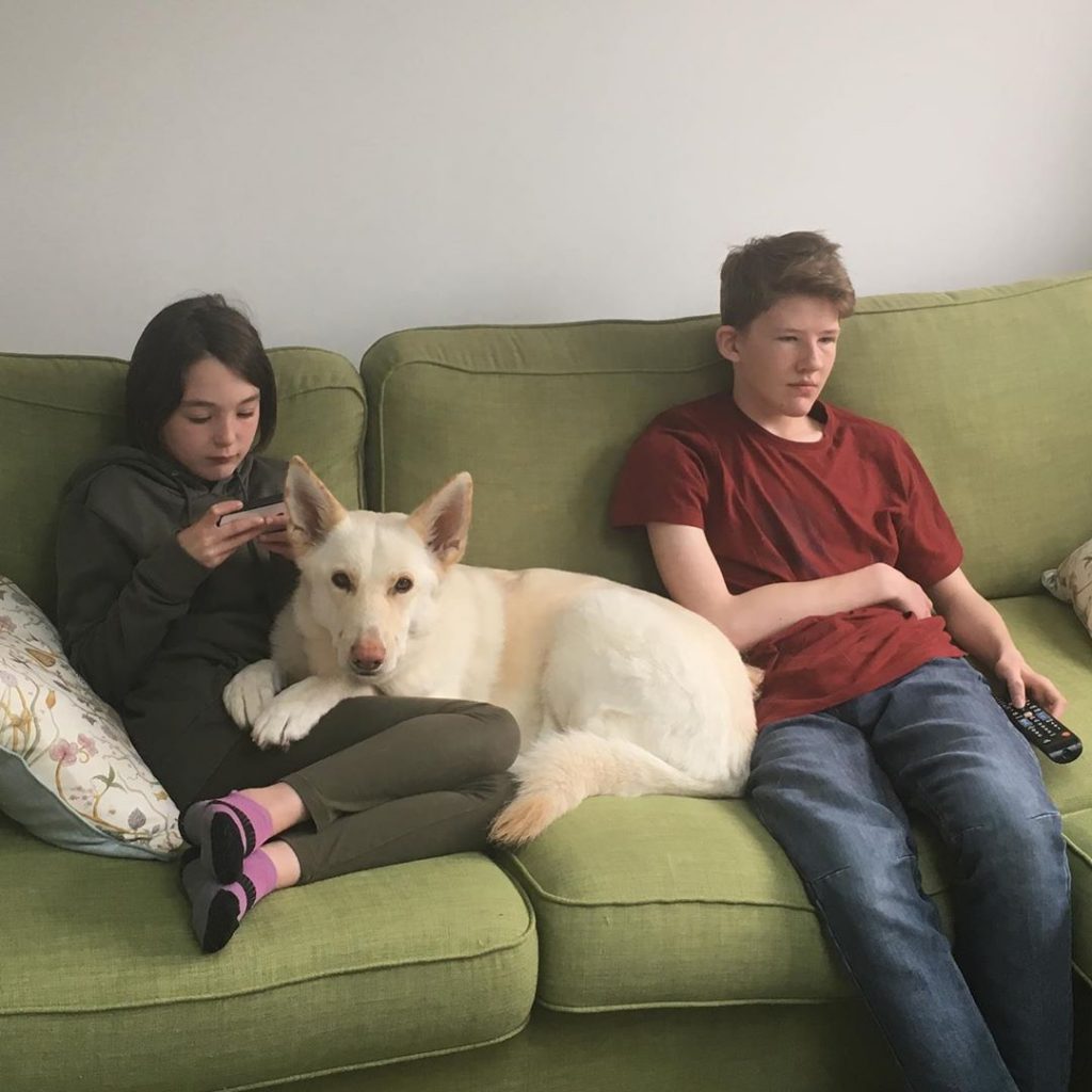 White German Shepherd relaxing with children