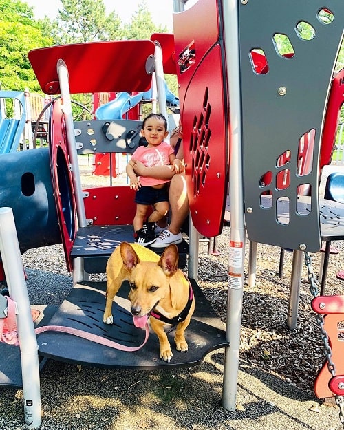 A baby girl and Chigi playing