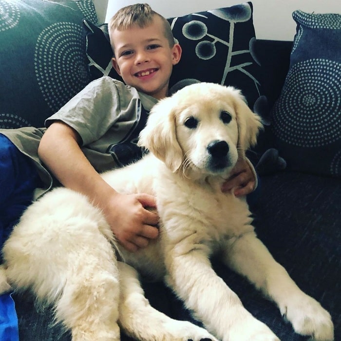 A boy and Golden Retriever puppy relaxing