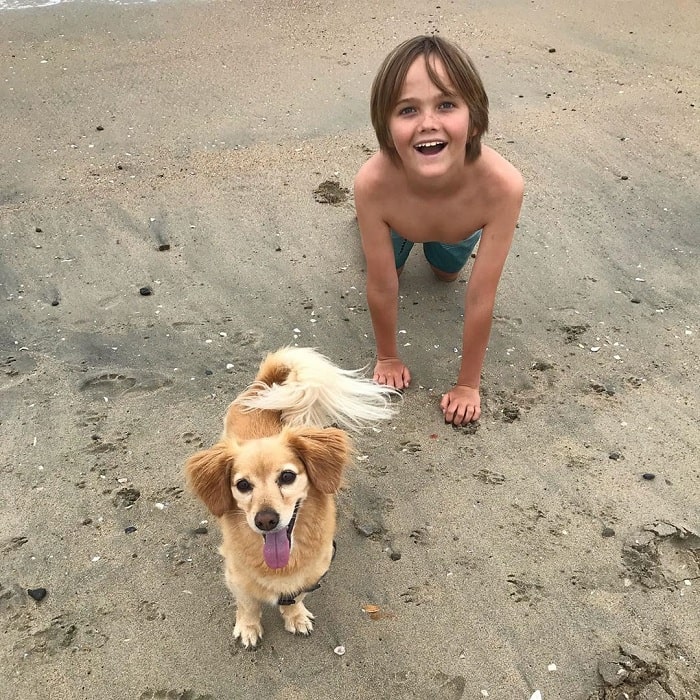 A boy and a Golden Dox playing on the sand