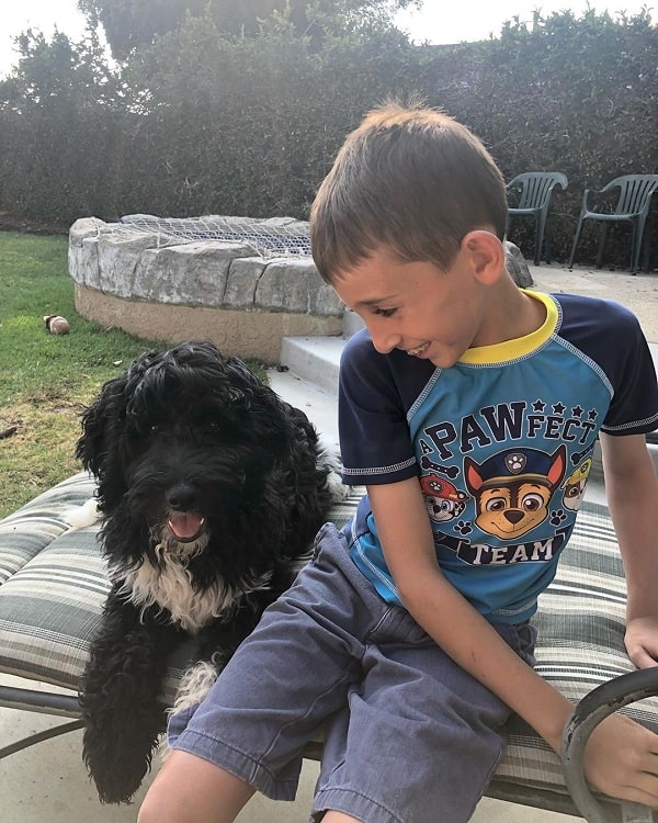 A boy with Labradoodle