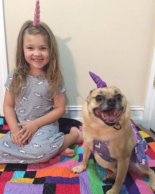 A girl and a Pom-A-Pug wearing a unicorn horn hat