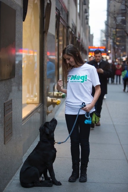 A walker with a dog