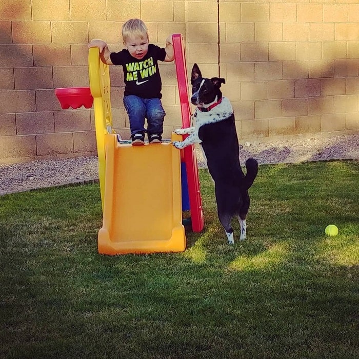 Auggie and baby playing