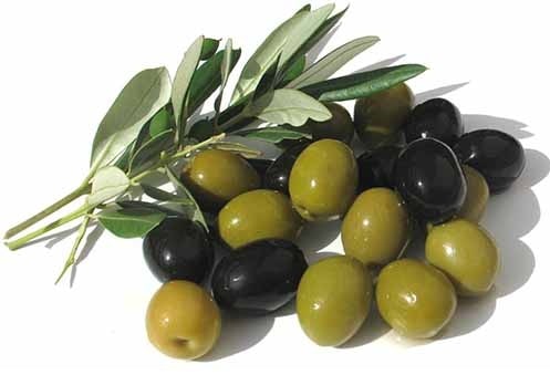 Black and Green olives