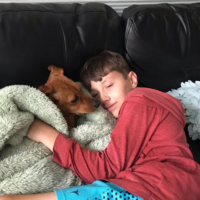 Schweenie cuddling with a boy