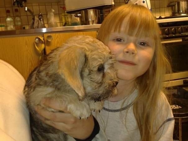 A Dandie Dinmont puppy and a Girl