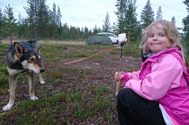 East Siberian Laika is child friendly