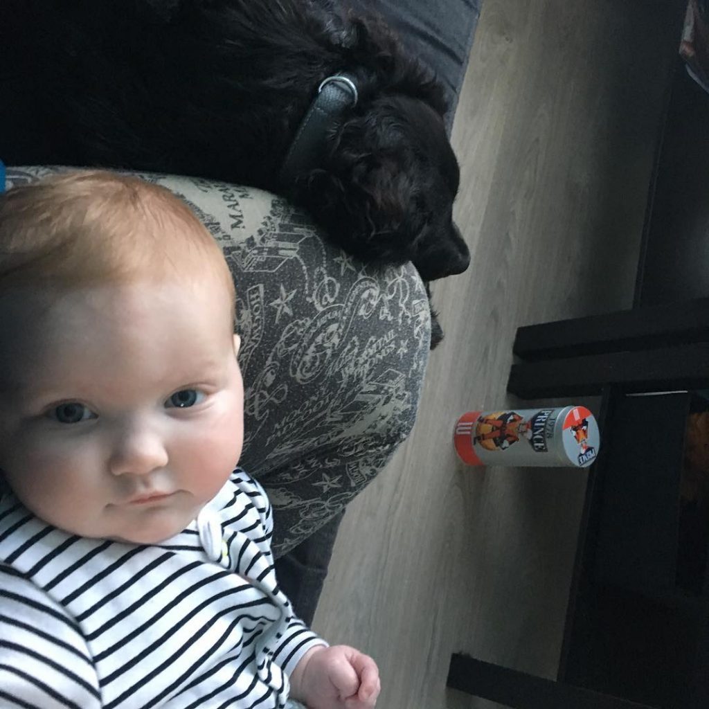 A baby and Frisian Water Dog
