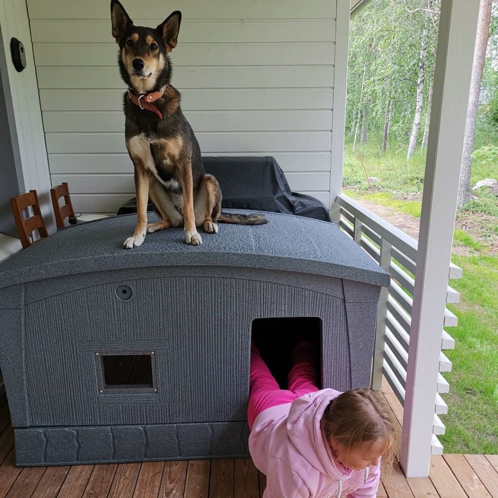 A baby girl and the East Siberian Laika