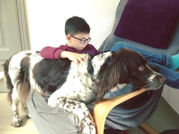 A boy and French Spaniel chilling