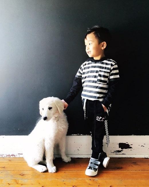 A boy and a Maremma Sheepdog posing for a pic