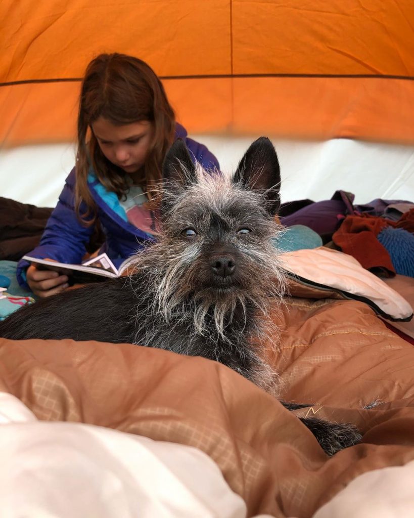 A girl and Affenhuahua sitting on a bed