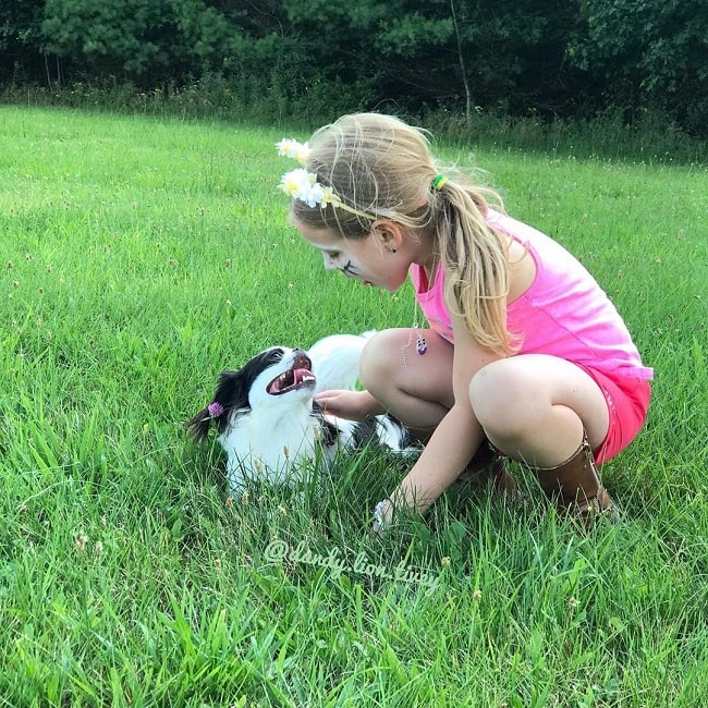 A girl playing with Japanese Chin