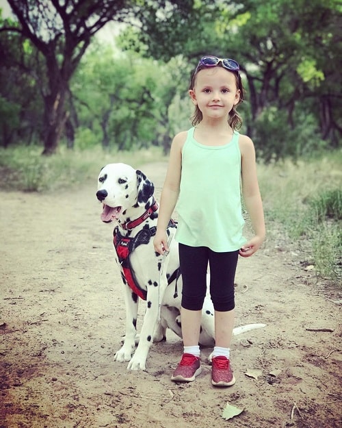 Baby girl and Dalmatian posing for photo