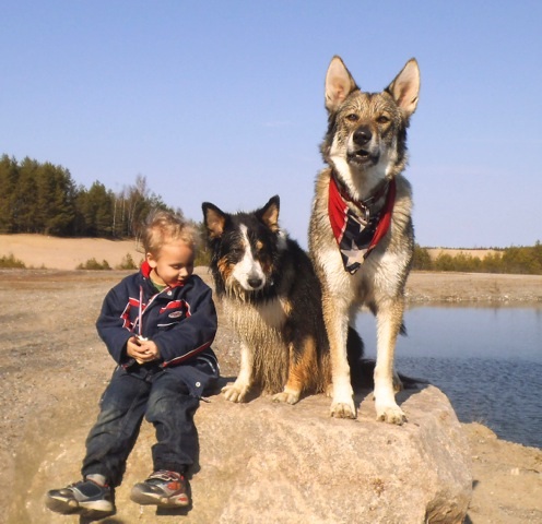 Czechoslovakian Vlcak sitting with a kid