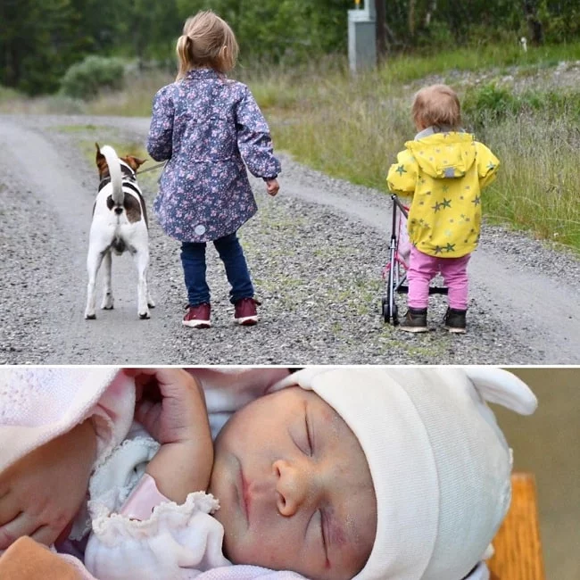 Kids walking Danish-Swedish Farmdog