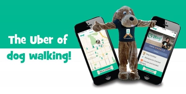 dog walking and sitting app