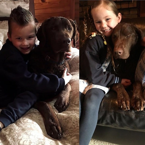 children holding Curly-Coated Retriever