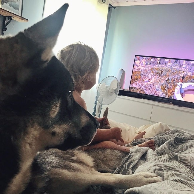 A baby and Swedish Elkhound watching TV