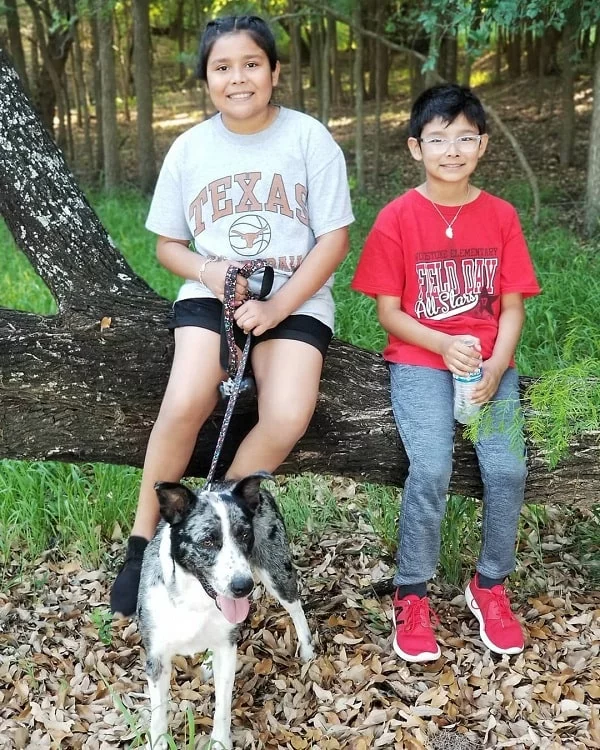 A boy and a girl with Catahoula Australian Shepherd
