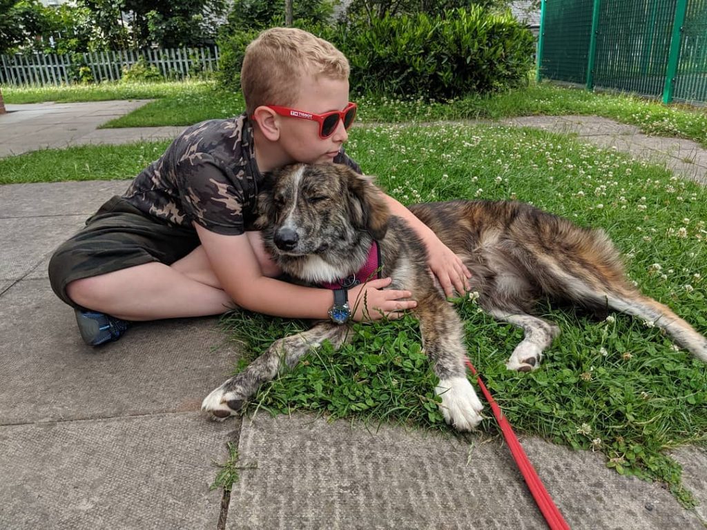 A boy hugging Carpathian Shepherd