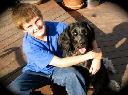 A boy with his Blue Picardy Spaniel