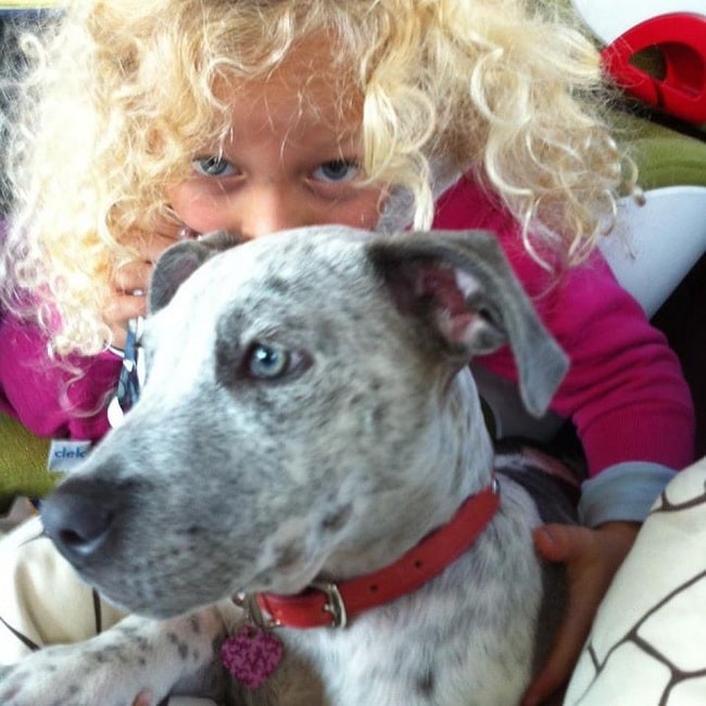 A girl and a Catahoula Bulldog puppy cuddling