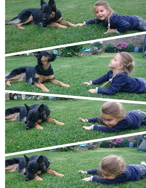 A girl playing with a Bohemian Shepherd puppy
