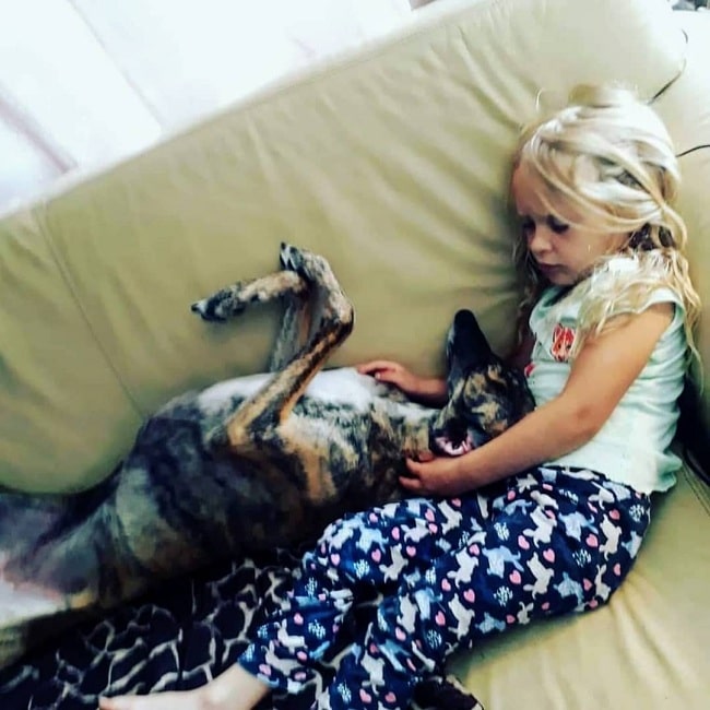 A girl taking a nap with Spanish Greyhound