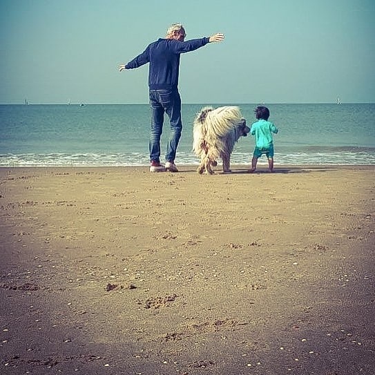 Aidi playimg with its master and a baby on the beach