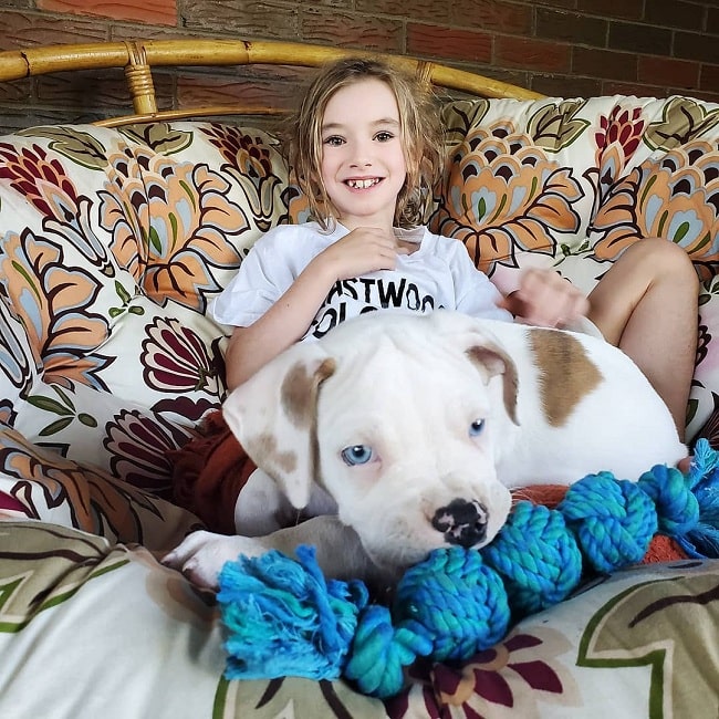 Catahoula Bulldog puppy cuddling with a girl