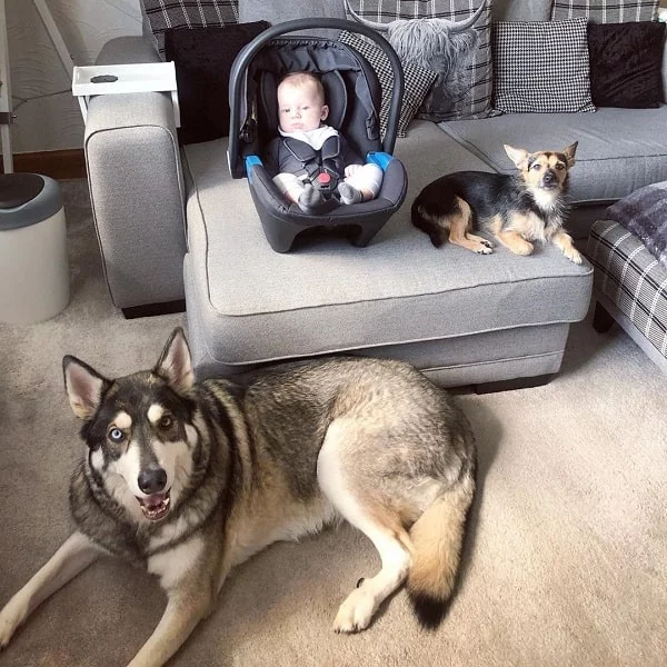 Northern Inuit looking after a baby