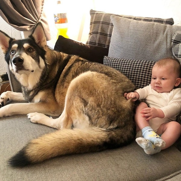 Northern Inuit playing with a baby