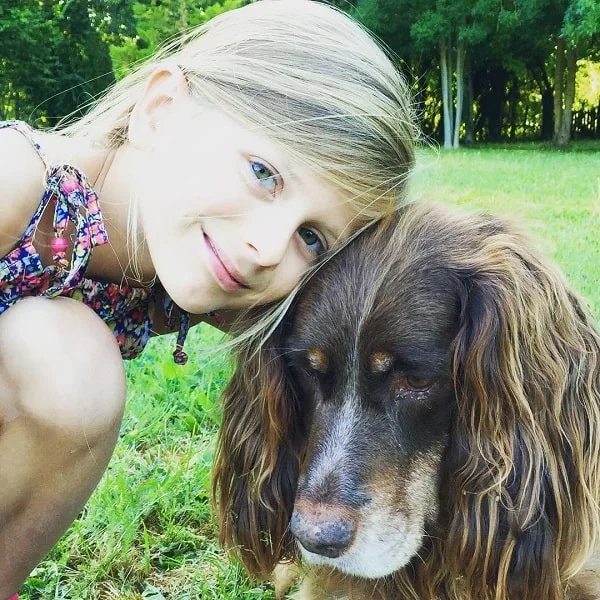 Picard Spaniel posing for a photo with a girl