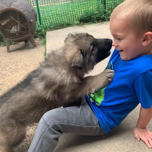 Shiloh Shepherd and a baby boy playing