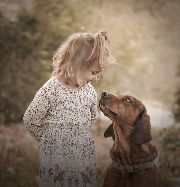 A baby girl and Alpine Dachsbracke