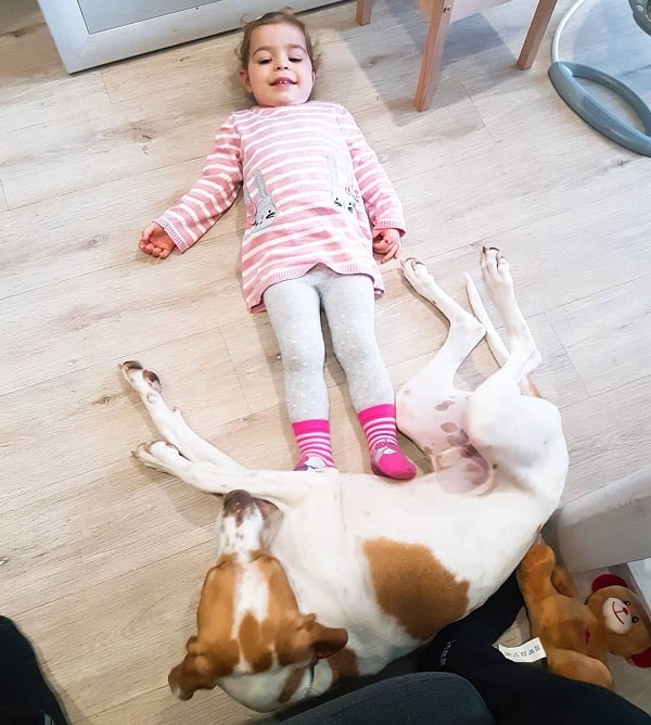 A baby girl and Braque Saint Germain laying on the floor