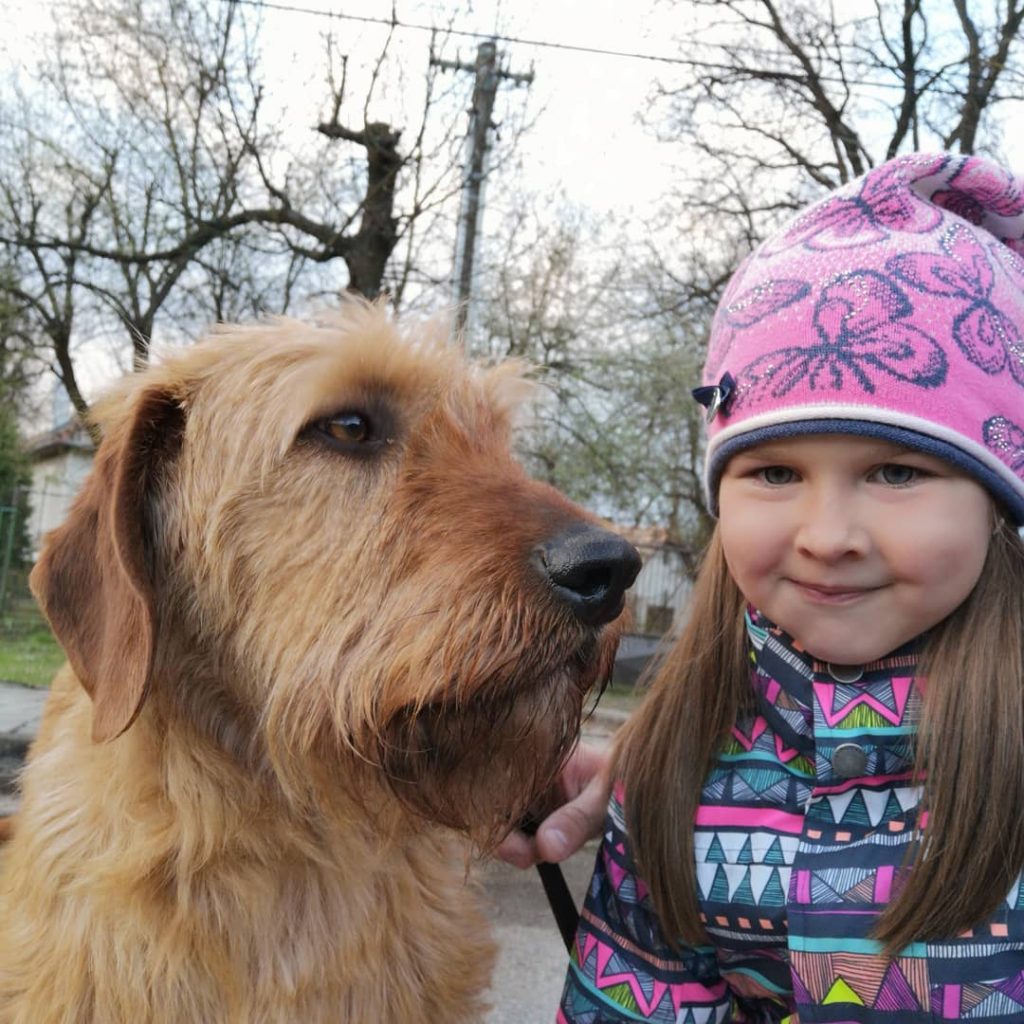 A baby girl and Styrian Coarse-Haired Hound