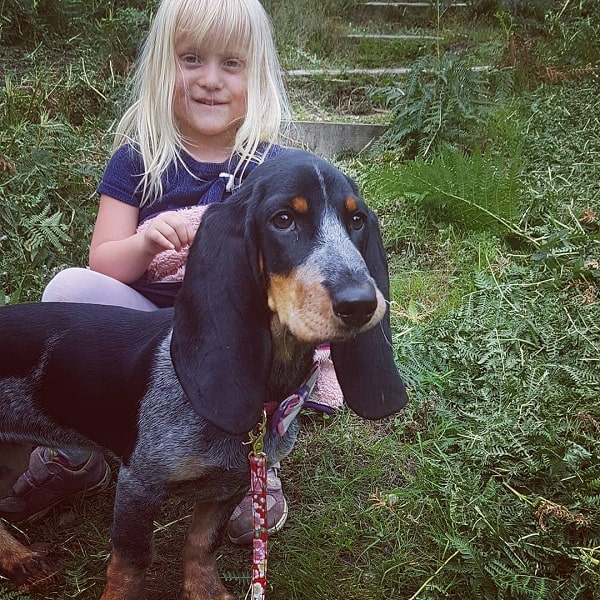 Basset Bleu de Gascogne and a baby girl