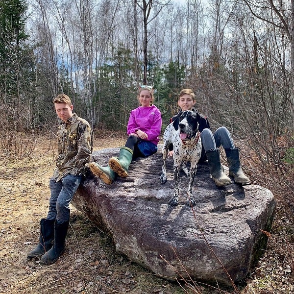 Braque d'Auvergne Pointer on a hike with children